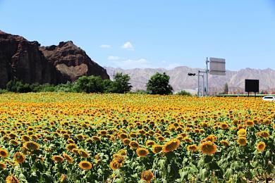 3ds、WiiU的eShop关闭后 上千款数字版游戏成绝版